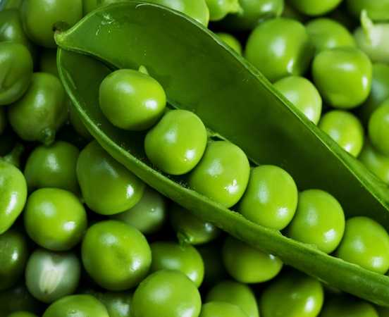 What’s In Your Grocery Cart?